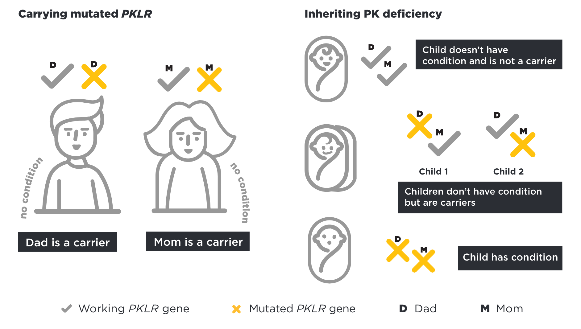 Parents Who Carry PK Deficiency Can Pass It to Their Children