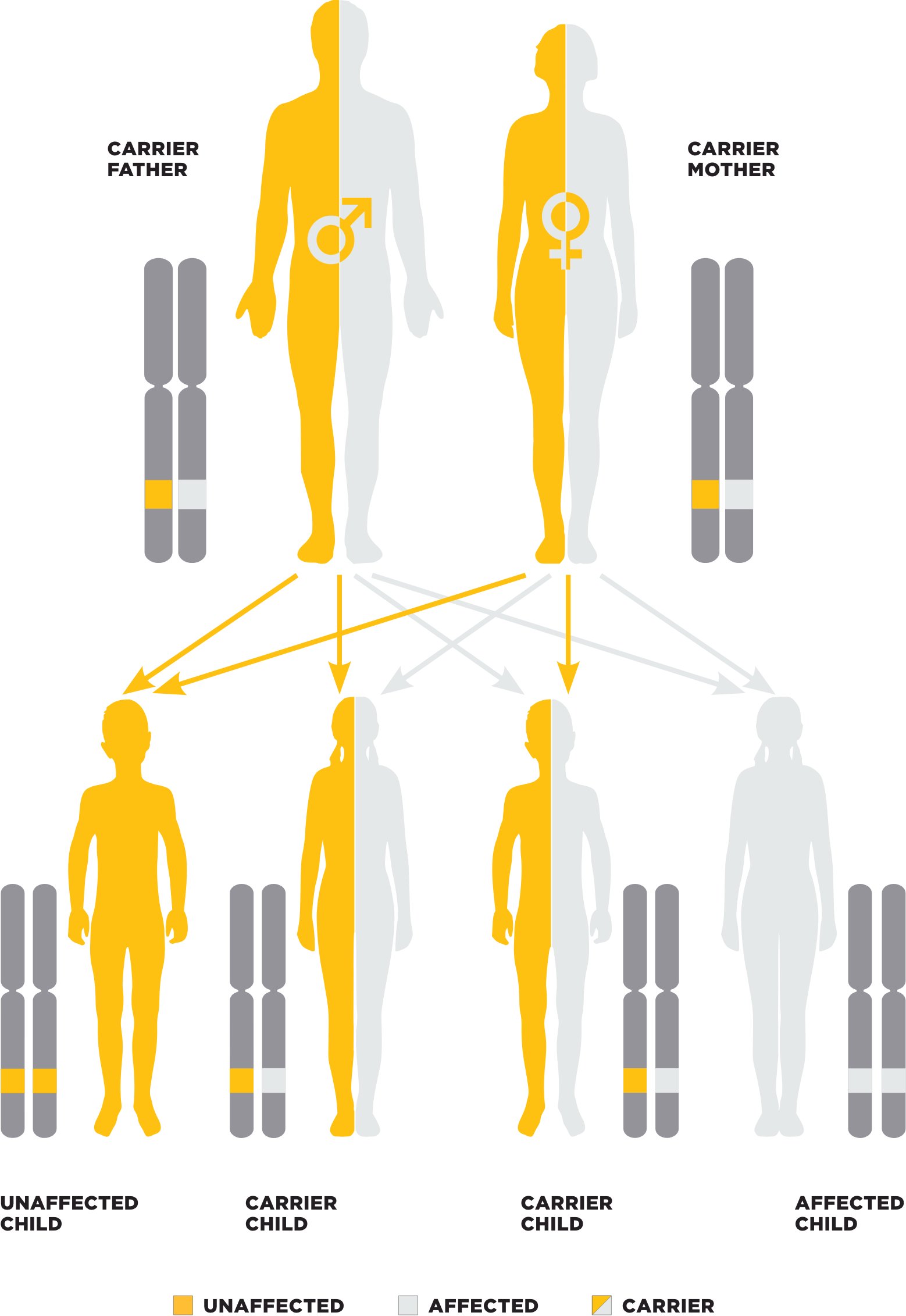 PK Deficiency Inheritance Pattern