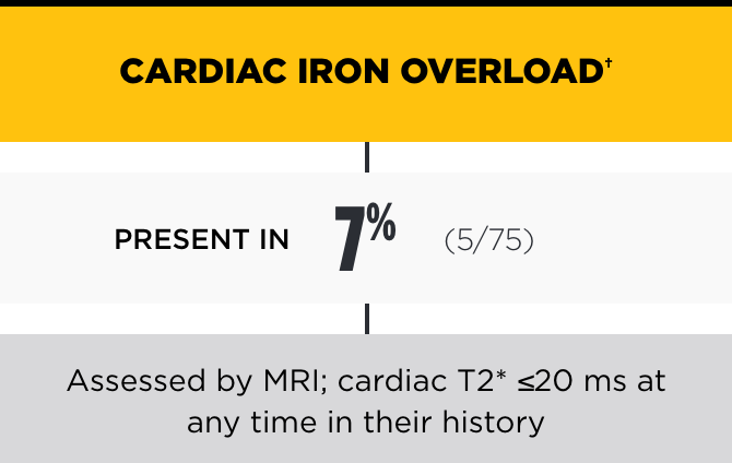 Cardiac Iron Overload