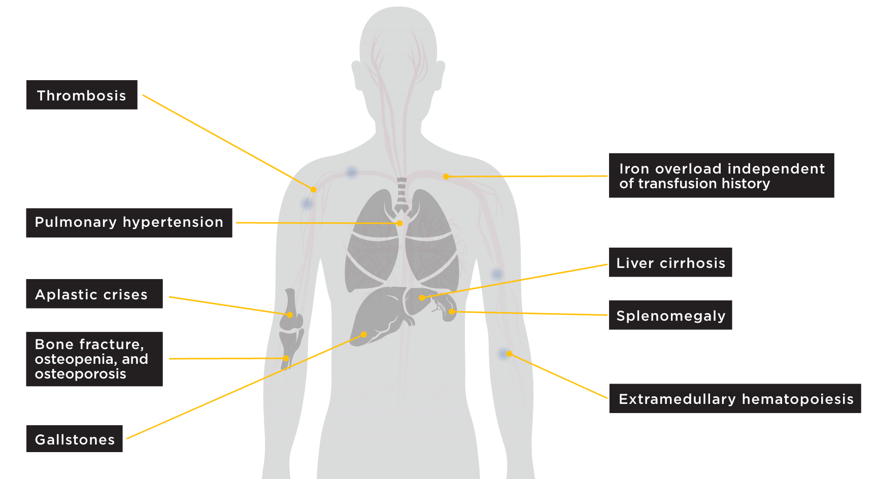 PK Deficiency Symptoms in Human body