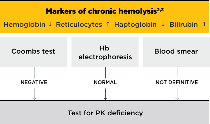 Markers of chronic hemolysis